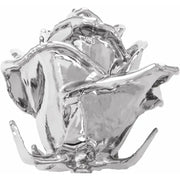 Platinum Hand-Plated Rose - Robson's Jewelers
