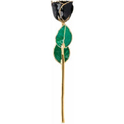 Lacquered Black Rose with Gold Trim - Robson's Jewelers