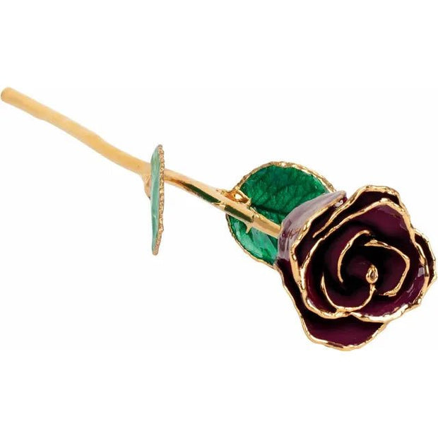 Lacquered Burgundy Rose with Gold Trim - Robson's Jewelers