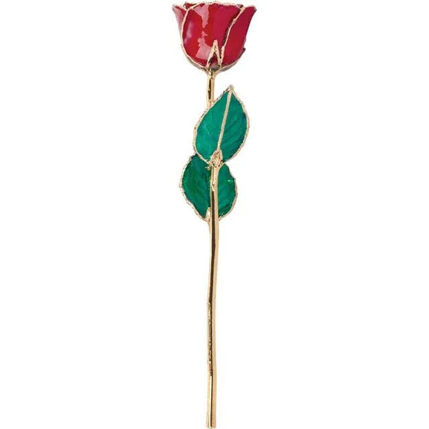 Lacquered Ruby Colored Rose with Gold Trim - Robson's Jewelers