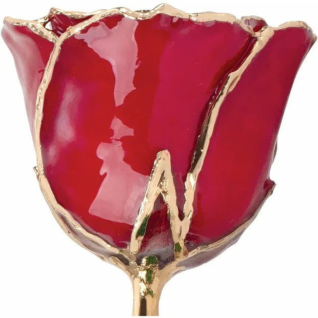 Lacquered Ruby Colored Rose with Gold Trim - Robson's Jewelers