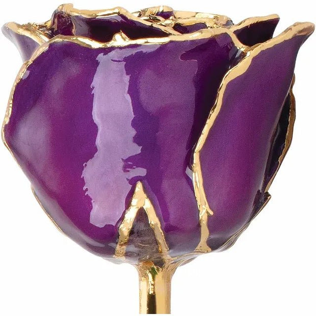 Lacquered Purple Rose with Gold Trim - Robson's Jewelers