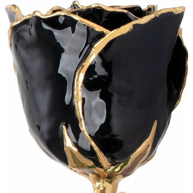 Lacquered Black Rose with Gold Trim - Robson's Jewelers