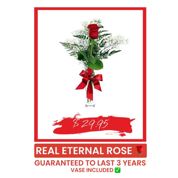 1 Long Stem Real Eternal Rose - Robson's Jewelers