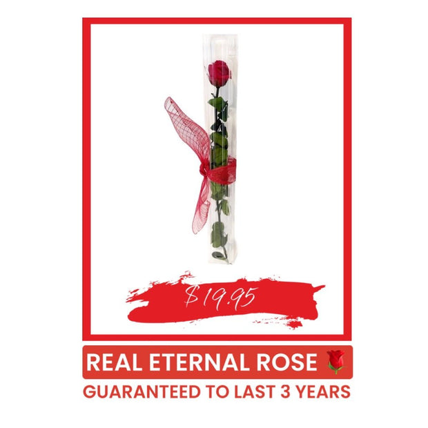 1 Long Stem Real Eternal Rose - Robson's Jewelers