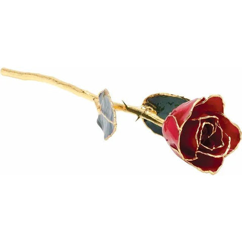 Lacquered Red Rose with Gold Trim - Robson's Jewelers
