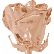 Rose Gold-Plated Rose - Robson's Jewelers
