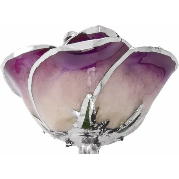 Lacquered Purple Rose with Platinum Trim - Robson's Jewelers