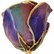 Lacquered October Opal Colored Rose with Gold Trim - Robson's Jewelers