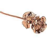Rose Gold-Plated Rose - Robson's Jewelers