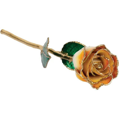 Lacquered Cream Orange Rose with Gold Trim - Robson's Jewelers