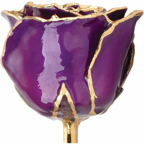 Lacquered Purple Rose with Gold Trim - Robson's Jewelers