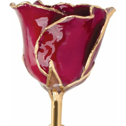 Lacquered Garnet Colored Rose with Gold Trim - Robson's Jewelers