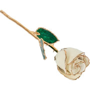 Lacquered White Rose with Gold Trim - Robson's Jewelers